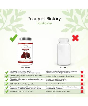 Forskolin - 120 capsules - supply for 4 months - with pill box - 2800 mg (equivalent to 35:1 forskohlii powder) - high dose - vegan - laboratory tested - Buy Online on GoSupps.com