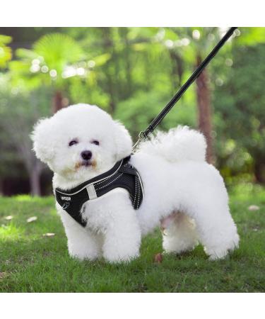 Buy Medium Black Dog Harness - Padded Puppy Harness for Small to Medium Dogs - Buy Online on GoSupps.com