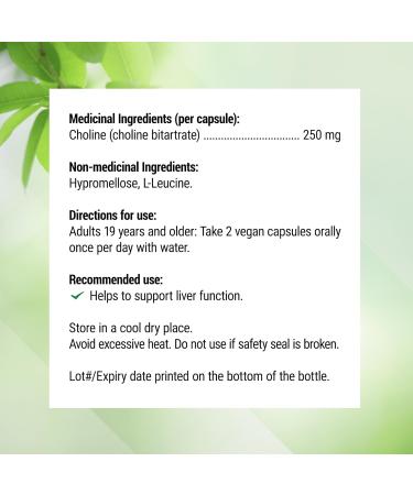 Nested Naturals Choline Bitartrate 500mg | High Potency Choline Supplements | Supports Cognitive Performance & Liver Function | 100% Vegan & Non-GMO Choline | 90 Vegan Capsules - Buy Online on GoSupps.com