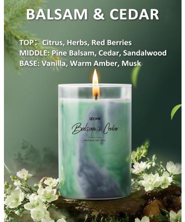 IZIDDO Colorful Scented Candles - Balsam & Cedar Aromatherapy 8oz | Handmade Long Lasting Home Candle | Perfect Housewarming Gift for Women - Buy Online on GoSupps.com