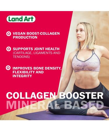 Land Art Liquid Ionic Silica Collagen Booster 500ml - Hair Skin Nails - Lemon Lime Flavored - Non-GMO, Gluten & Sugar Free - Buy Online on GoSupps.com