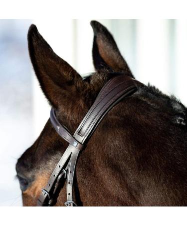 HORZE Prescott Figure 8 Bridle - Brown, Horse Size - Buy Online on GoSupps.com
