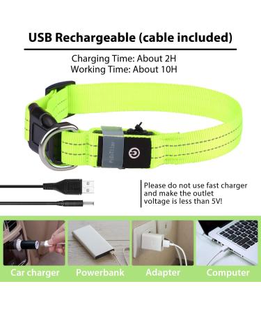 PCEOTLLAR Luminous Dog Collar - Adjustable LED Light Neck Band for All Dog Sizes (Green 28-40cm) - Flashing Reflective Safety Accessory - Buy Online on GoSupps.com