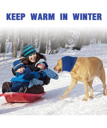 Calming Ear Protection for Dogs - Lzkheh Noisy Hooded Sweater Size M Blue - Noise Protection & Care - Buy Online on GoSupps.com