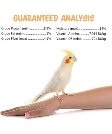 Vitakraft Crunch Sticks Cockatiel Treat - Apple & Honey Flavor - Pet Bird Toy for Long-Lasting Chewing Fun - Buy Online on GoSupps.com
