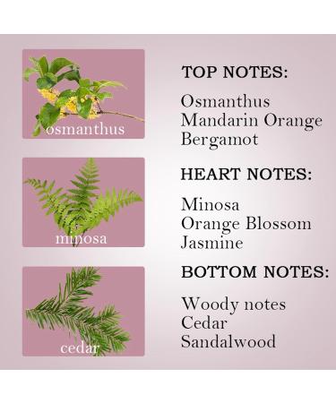 Woman Perfume Natural Eau de Toilette Sensual Hypoallergenic Eau De Parfum Captivating Face Mist Suitable for Day or Night Perfume Gift for Women 4.8x4x10.6cm White - Buy Online on GoSupps.com
