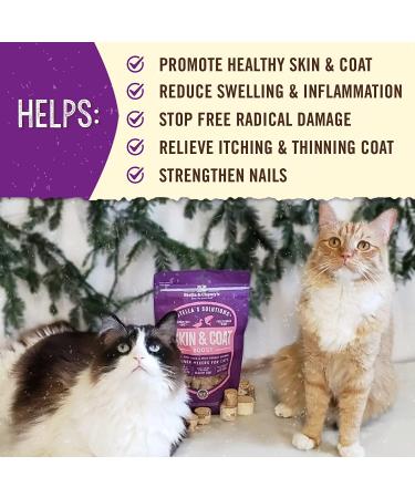 Stella & Chewy's Stella's Solutions Cat 7.5oz - Duck & Salmon | Pack of 1 - Buy Online on GoSupps.com