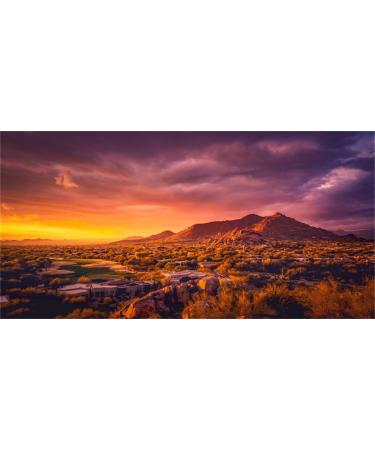 MIRRORANG 91x50cm Sun and Desert Terrarium Background Mountain Oasis Gobi Reptile Habitat Background Durable Vinyl Background 91x50cm style 5