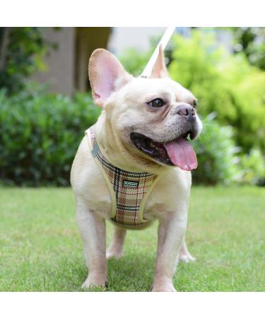 Shop Suredoo Dog Harness for Small Dogs - Reflective Breathable & Includes Leash | Perfect for XXS & Medium Breeds - Beige - Buy Online on GoSupps.com