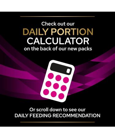 Pro Plan Veterinary Diets UR Urinary Wet Cat Food Salmon 10x85g Salmon 85 g (Pack of 1) - Buy Online on GoSupps.com