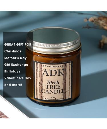 Buy Birch Scented Candle - Plant Based Aromatherapy for Home Decor | 17 hrs Burn Time | Natural Gift for Mother's Day - Buy Online on GoSupps.com