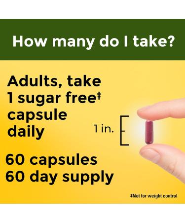 Nature Made Cranberry Supplement 500mg with Vitamin C for Immune & Antioxidant Support Cranberry Blend for Urinary Tract Health One Per Day 60 Capsules - Buy Online on GoSupps.com