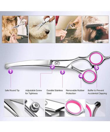 Premium Dog & Cat Fur Care Set | Stainless Steel Scissors & Grooming Cups for Happy Pets - Buy Online on GoSupps.com