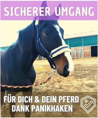 Premium Knit with Panic Hooks for Horses Ponies & Donkeys | Stylish 1.60m Connections in Black Red Yellow Blue - Buy Online on GoSupps.com