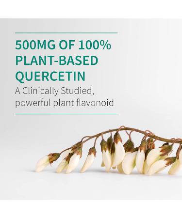 Garden of Life Quercetin Once Daily Immune Support Supplement with Vitamin C, D, Probiotics - 30 Tablets | Dr Formulated for Respiratory & Skin Health - Gluten Free, Non GMO - Buy Online on GoSupps.com