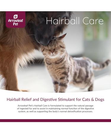 Hairball Care Tincture by NaturPet | Digestive Support for Cats & Dogs | Reduce Hairballs Constipation & Intestinal Discomfort | 100mL Herbal Formula - Buy Online on GoSupps.com