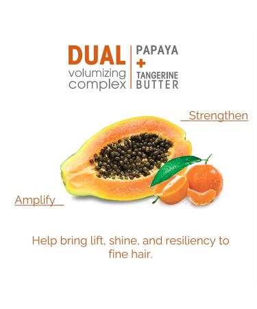 Giovanni 2chic Ultra-Volume Shampoo 24oz | Daily Volumizing with Papaya & Tangerine Butter | Paraben-Free & Color Safe for Fine Hair - Buy Online on GoSupps.com
