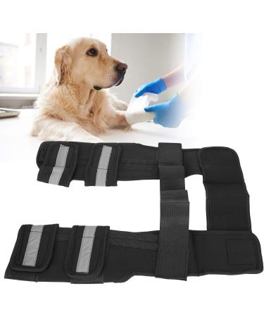 Pet Leg Support Dog Knee Pad Front Leg Protective Brace Support Pet Gear for Injury Surgery Recovery M - Buy Online on GoSupps.com