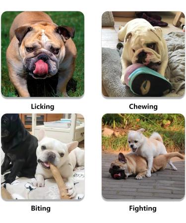 ILEPARK French Bulldog Muzzle - No Cover Forehead Adjustable Mesh Anti-Biting for Short Snout Dogs (Large Black) - Comfortable & Breathable - Buy Online on GoSupps.com