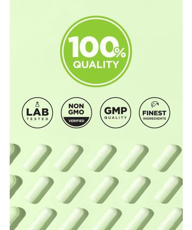 Nature's Truth Raw Flora USDA Organic Liquid Probiotic | Doctor Formulated | 25 Billion Live Strains | Vegan & Gluten Free Supplement for Men and Women - Buy Online on GoSupps.com