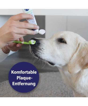 Canosept 3 Head Dog Toothbrush Comfortable Dental Care for Dogs Effective Tartar Remover & Bad Breath Solution 1 Piece - Buy Online on GoSupps.com
