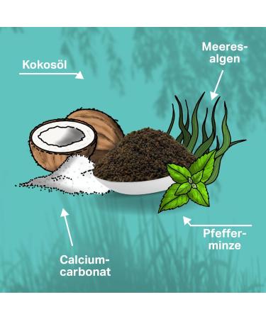 MEDIDOG Dental YUM 300g Dental Care Granules for Dogs | Bad Breath & Tartar Control | Fresh Breath & Chewing Fun - Buy Online on GoSupps.com