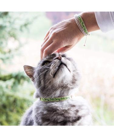 Pettsie Cat Collar Breakaway & Friendship Bracelet Set | Eco-Friendly Gift Box | D-Ring for Accessories | 100% Cotton | Adjustable Green Design - Buy Online on GoSupps.com