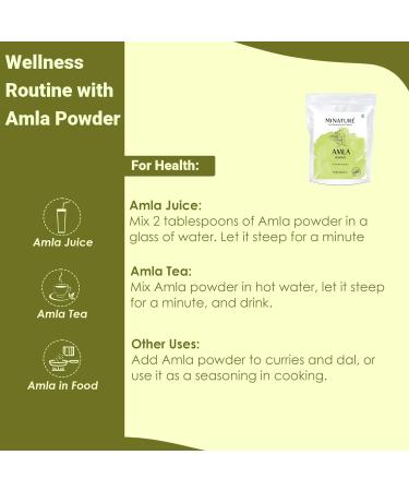 Mi Nature Amla Powder by mi nature| Amalaki or Indian Gooseberry |Vitamin C |454g (16 oz) | Non-GMO |Pure & natural | Raw Vegan Gluten-free | Made in India Preservatives free - Buy Online on GoSupps.com