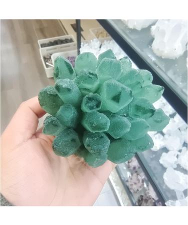 Natural Crystal Rough Crystal Cluster 300-1000g Natural Green Ghost Phantom Quartz Crystal Cluster Specimen (Size : 900-1000g) - Buy Online on GoSupps.com