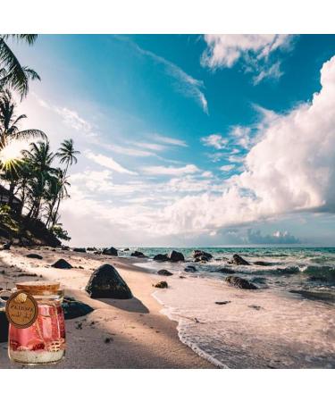 Oceans Theme Gel Candle - Blue Purple Pink Scented | Starfish Whelk Aromatherapy for Meditation & Relaxation | 2024 New Release - Buy Online on GoSupps.com