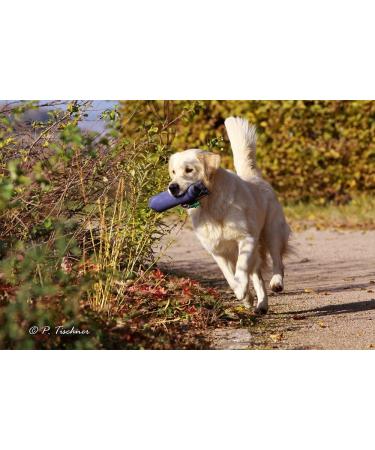 Romneys Standard Dummy 500g Blue - Floatable & Unsinkable Dog Training Tool | International Shipping - Buy Online on GoSupps.com