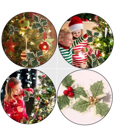 Zerodeko 60 Pcs Small Golden Fruit Green Leaves Red Christmas Plug-in Plastic Golden+redx3pcs 13.5X13.5X2.5CMx3pcs - Buy Online on GoSupps.com