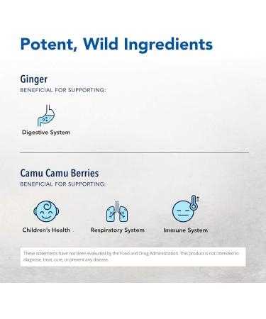 NORTH AMERICAN HERB & SPICE Inflam-eeZ - 90 Capsules - Supports Healthy Immune & Inflammatory Response - Ginger Root Camu Camu Berries Bromelain & Papain Plus - Non-GMO - 45 Total Servings - Buy Online on GoSupps.com