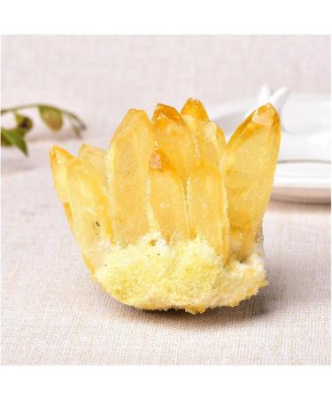 TRUSTTWO Natural Crystal Cluster Amethyst Specimen Mineral Ore Yellow Green Purple Quartz Reiki Healing Stone Raw Crystals Home Decor The New Clear Quartz 500-550g - Buy Online on GoSupps.com