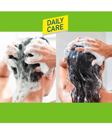 Wash & Go Shampooing et apr s-shampoing 2 en 1 pour le sport 1 x 400 ml soin quotidien des cheveux et du cuir chevelu rafra chit les cheveux et le cuir chevelu (Lot de 3) vert 400 ml (Lot de 3) - Buy Online on GoSupps.com
