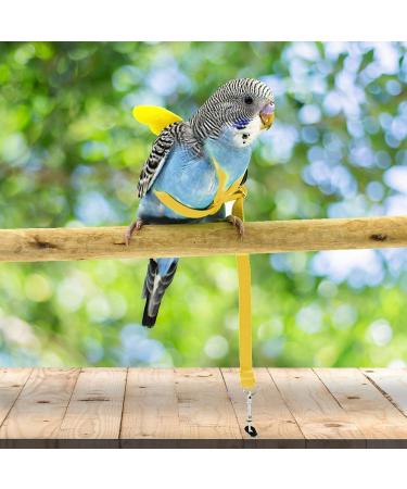 Adjustable Pet Parrot Bird Dishes & Leash | Anti-Bite Design & Nylon Rope for Alexandrin Scarlet Red & Keck Birds - Buy Online on GoSupps.com