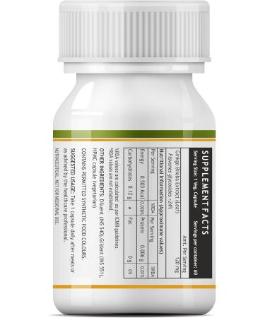 INLIFE Ginkgo Biloba Extract Capsules 120mg | Herbal Supplement - 60 Vegetarian Capsules - Buy Online on GoSupps.com