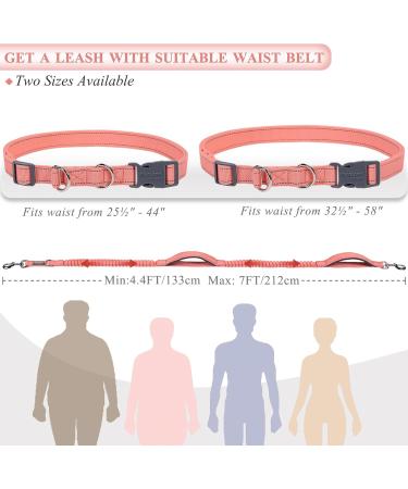 Vivaglory Reflective Waist Dog Leash for Medium Large Dogs - Anti-Shock Bungee Padded Handles Adjustable 65-112cm - Perfect for Training & Jogging - Pink & Gray - Buy Online on GoSupps.com