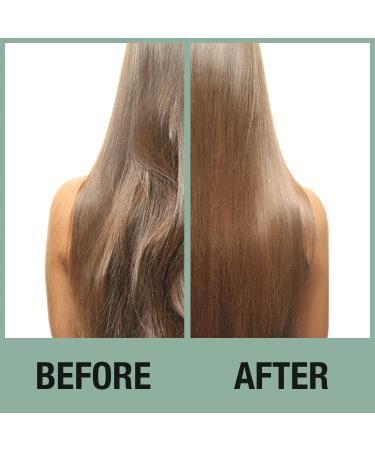 Duo Divine Curls Hair Care Set - Curly Hair Shampoo & Conditioner 250ml x 2 | Inoar - Best for Curly Hair Care - Buy Online on GoSupps.com