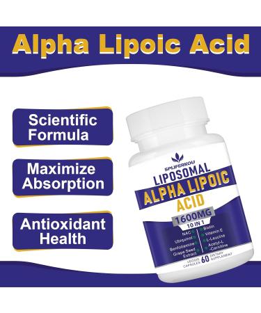 Liposomal Alpha Lipoic Acid 1600mg - Antioxidant ALA Supplement for Energy & Metabolism | Gluten Free & GMO Free - 60 Capsules - Buy Online on GoSupps.com