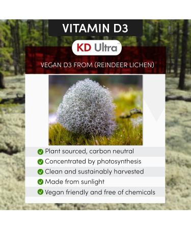 Arthur Andrew Medical KD Ultra K2 with Vegan D3 - 90 Capsules | Full Spectrum Vitamin Support - Buy Online on GoSupps.com