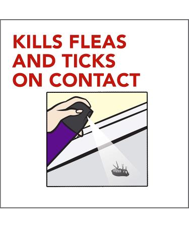 Raid Flea Killer Carpet & Room Spray, Kills hatching eggs for up to 4 months, 16 Oz - Buy Online on GoSupps.com