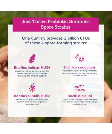 Just Thrive Probiotic Gummies - Kids Men and Womens Probiotic - for Digestive and Overall Health 30 Count 30 Count (Pack of 1) - Buy Online on GoSupps.com