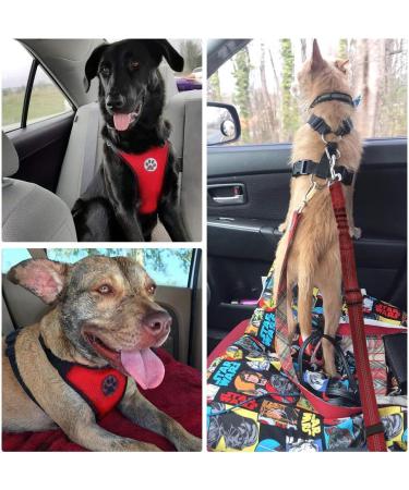 Slowton Dog Harness with Seat Belt for Car | Breathable Latex Network Tissue | Safety Harness for Everyday Sports | Vermilion Color | Size S - Buy Online on GoSupps.com