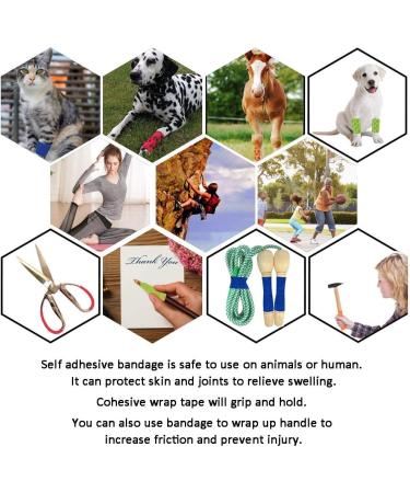 Kingrun Self-Adhesive Bandage Elastic Cohesive Adhesive Bandages for Dogs Cats Self Cohesive Veterinary Bandage in 4 Colors 2.5cm x 4.5m(4 Rolls) 5cm x 4.5m(4 Rolls) - Buy Online on GoSupps.com