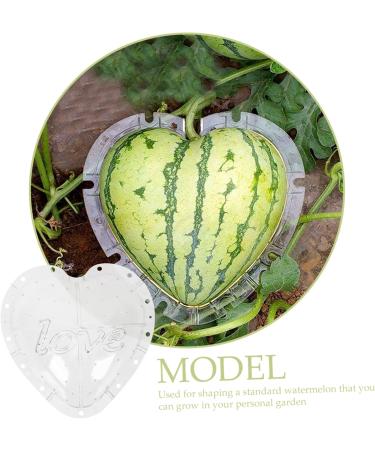 Generic Plant Fruit Tool Watermelon Shaping Watermelon Pumpkin Stereotypes - Buy Online on GoSupps.com