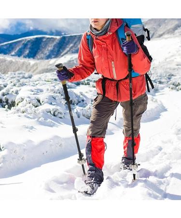 Cane Tips for Ice Cane Ice Tip Attachment 2PCS Stainless Steel 5-Prong Ice Tip for Cane Universal Cane Ice Tip Non-slip Ice Grip for Winter Snow Safety - Buy Online on GoSupps.com