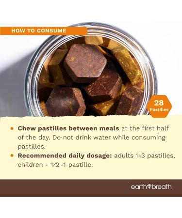 Earthbreath Assorted Bee Bread Pastilles - 150g (5.3 oz) Pure Raw Natural Perga/Ambrosia - Bee Pastilles with Black Currant Sea Buckthorn Berries and Apple Cinnamon - Buy Online on GoSupps.com