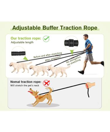Pecute Jogging Leash for Large & Medium Dogs | Elastic Running Dog Leash with Belly Belt & Belt Bag | Durable Up to 100kg - Perfect for Jogging & Running - Buy Online on GoSupps.com