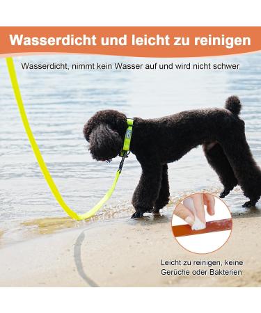 X XBen Waterproof Drag Line for Dogs - 3m to 30m Options | Durable Rubberized Leash with Lockable Carabiner for Small to Medium Dogs | Perfect for Training & Outdoor Adventures - Buy Online on GoSupps.com